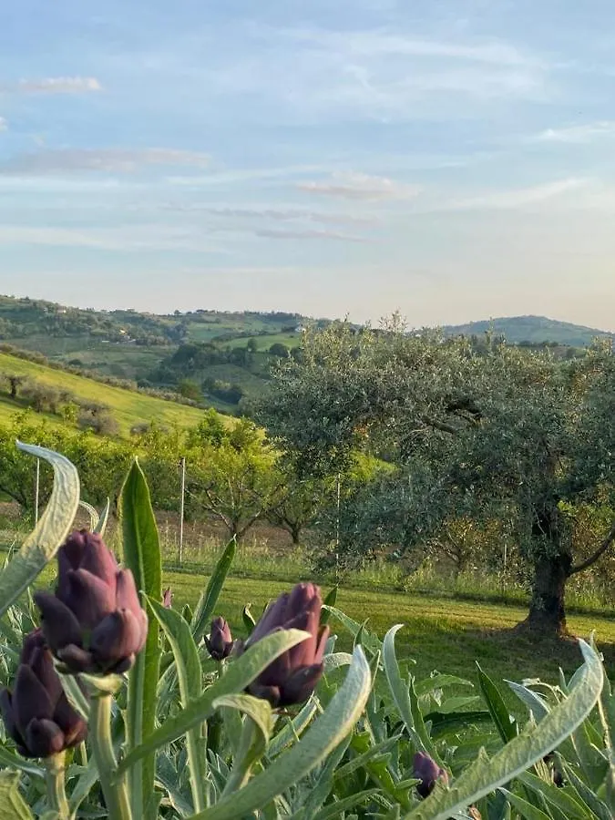 Bed & Breakfast Poderino - A Place To Feel Cento