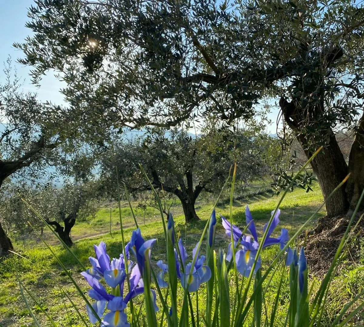 Bed & Breakfast Poderino - A Place To Feel Cento  Italy