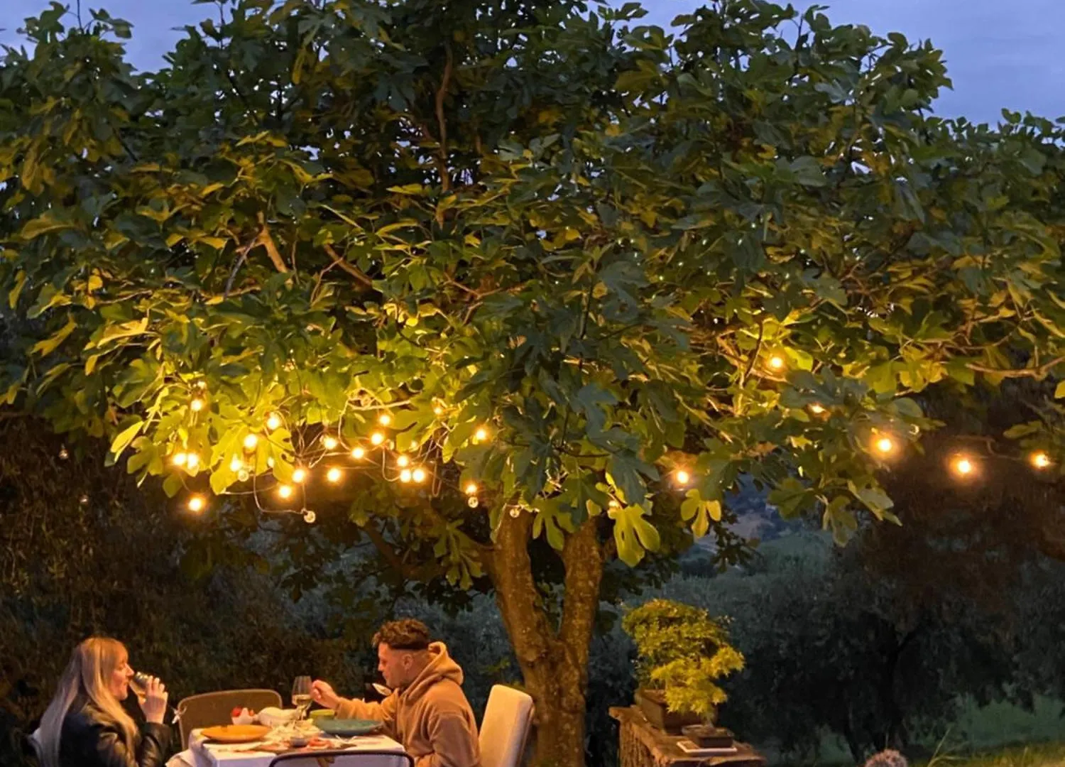 Poderino - A Place To Feel Cento  Italy