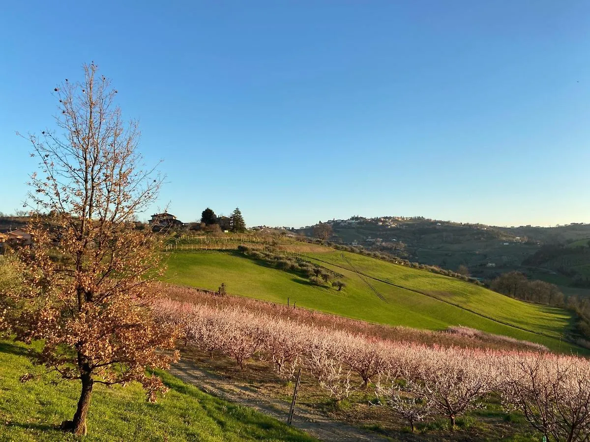 Poderino - A Place To Feel Cento