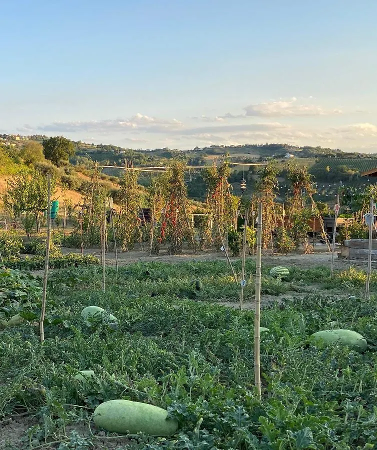 Bed & Breakfast Poderino - A Place To Feel Cento