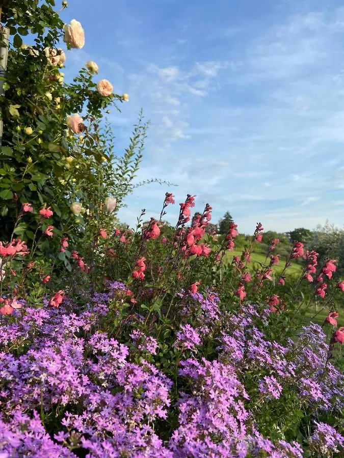 Bed & Breakfast Poderino - A Place To Feel Cento
