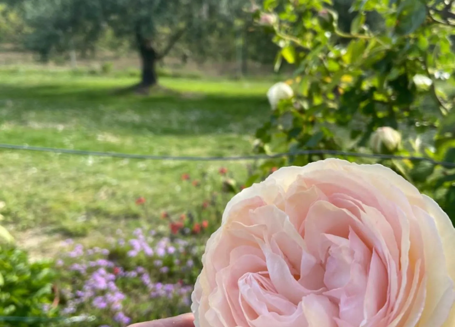 Bed & Breakfast Poderino - A Place To Feel Cento  Italy